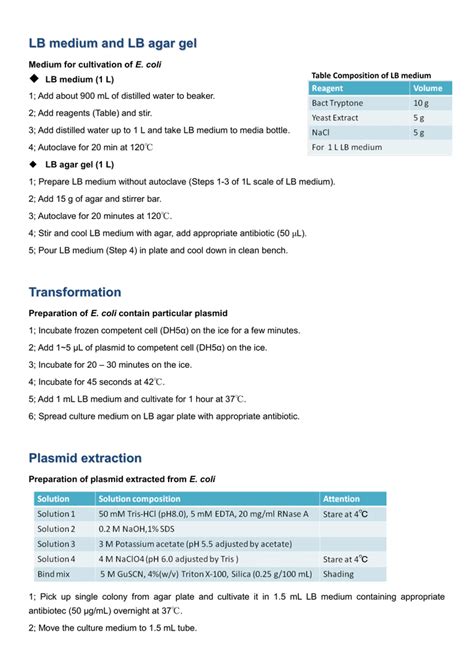 lb media recipe pdf